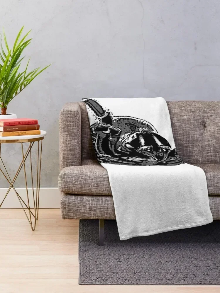 Creepy Funnel-Web Spider Throw - 3D Printing Web ulasan dan harga